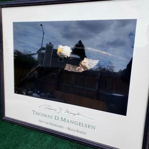 Thomas D. Mangelsen Out Of Darkness Bald Eagle Signed Framed Print Art 34"x28"